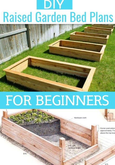 Garden Bed Plans, Diy Raised Garden Beds, Cheap Raised Garden Beds, Raised Garden Beds Diy Vegetables, Garden Bed Layout, Raised Garden Bed Plans, Raised Vegetable Gardens, Building Raised Garden Beds, Building A Raised Garden