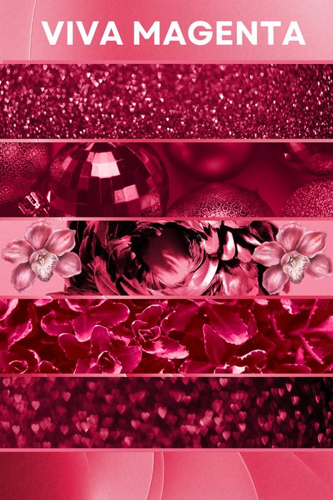 Viva Magenta Viva Magenta Aesthetic, Viva Magenta Christmas, Viva Magenta Color Palette, Magenta Aesthetic Background, Viva Magenta, Viva Magenta Mood Board, Magenta Walls, Magenta Lip, Burgundy Aesthetic