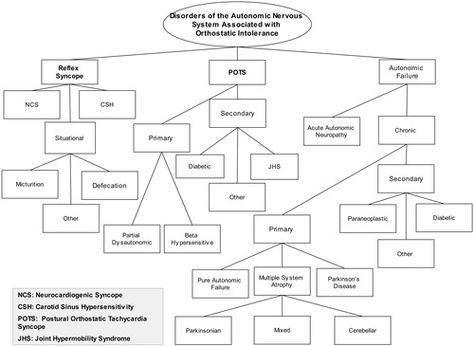 Neurocardiogenic Syncope and Related Disorders of Orthostatic Intolerance | Circulation Orthostatic Intolerance, Ehlers Danlos Syndrome Types, Autonomic Dysfunction, Autonomic Nervous System Dysfunction, Neurocardiogenic Syncope, Ehlers Danlos Syndrome Hypermobility, Differential Diagnosis, Crps Awareness, Sick Remedies