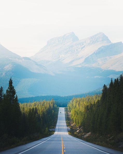 Endless roads through Alberta 🏔Wilderness Tones Explorer @driftingphoto  Have an amazing wilderness adventure to… Endless Road Wallpaper, Road Wallpaper, Endless Road, Long Way Home, Beautiful Roads, Winding Road, Long Road, North America Travel, Canada Travel