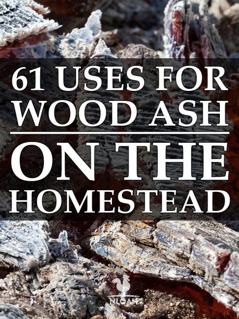 Porch Wood Storage, Uses For Wood Ash, Wood Ash Uses, Wood Ash For Garden, Uses For Ashes, Diy Wood Stove, Acre Homestead, Homesteading Diy, Homestead Farm