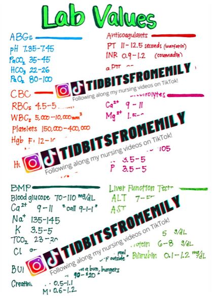 10 handwritten pages of lab values, BMP CHEM 7 review for nursing students. Includes: - ABGs - CBC - Anticoagulants - Serum Electrolytes - BMP - Liver Function Tests - Urinalysis - Serum Drug Levels - Lipid Panel - NCLEX lab values memory tricks - Causes of abnormal lab values on BMP CHEM 7 - Vital Signs including updated BP guidelines as of 2020 - Cardiac Markers  Follow along with me on TikTok @tidbitsfromemily Cardiac Markers, Nclex Lab Values, Memory Tricks, Nursing Videos, Health Assessment, Nurse Shoes, Family Nurse Practitioner, Lab Values, Liver Function