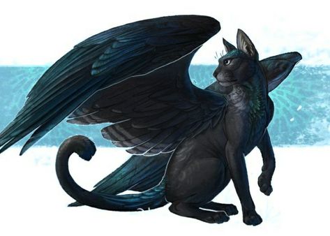 Cat With Wings, Mythical Creatures Fantasy, Mystical Animals, Mythical Animal, Black Cat Art, Fantasy Beasts, Creature Drawings, Fantasy Creatures Art, Anime Animals