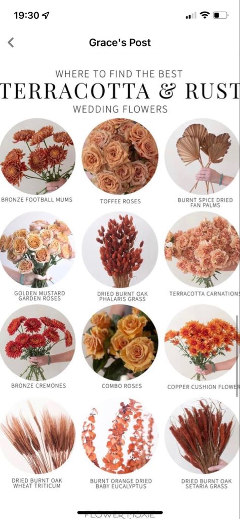 Rust Color Bouquet, Copper Flowers Wedding, Rust Color Wedding Bouquet, Terracotta Wedding Palette Fall, Terracotta Flower Centerpiece, Burgundy And Amber Wedding, Terracotta And Burgundy Wedding Flowers, Terracotta Colored Flowers, Safe And Rust Wedding