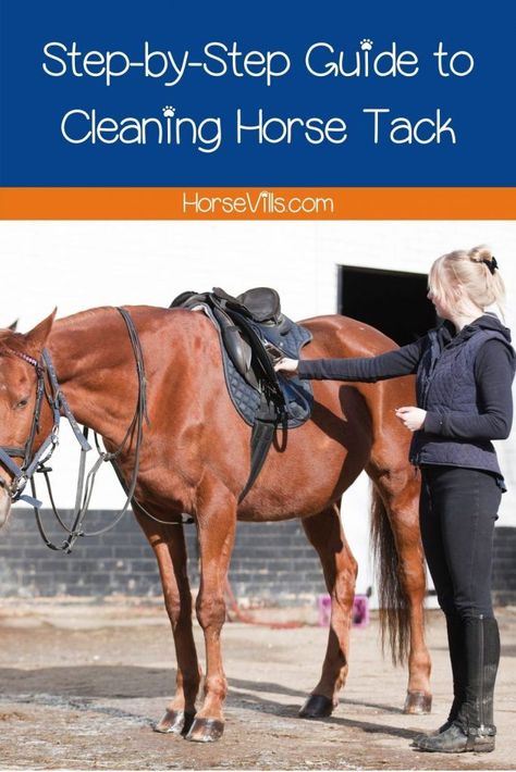 Tack Cleaning, Horse Ownership, English Tack, Diy Horse, Horse Ideas, Horse Things, Country Stuff, Horse Equipment, Horse Accessories