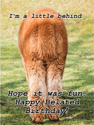 I'm a Little Behind... Funny Belated Birthday Card: Anyone with a sense of humor will appreciate this silly belated birthday card! Featuring the hind quarters of an alpaca, it's a fun way to admit you forgot while putting the blame on your bad habit of being a little "behind"! Forgot Birthday Funny, Funny Belated Birthday Cards, Happy Late Birthday Funny, Funny Belated Birthday Wishes Hilarious, Late Birthday Wishes Funny, Happy Belated Birthday Funny, Happy Belated Birthday Quotes, Forgot Birthday, Funny Belated Birthday Wishes