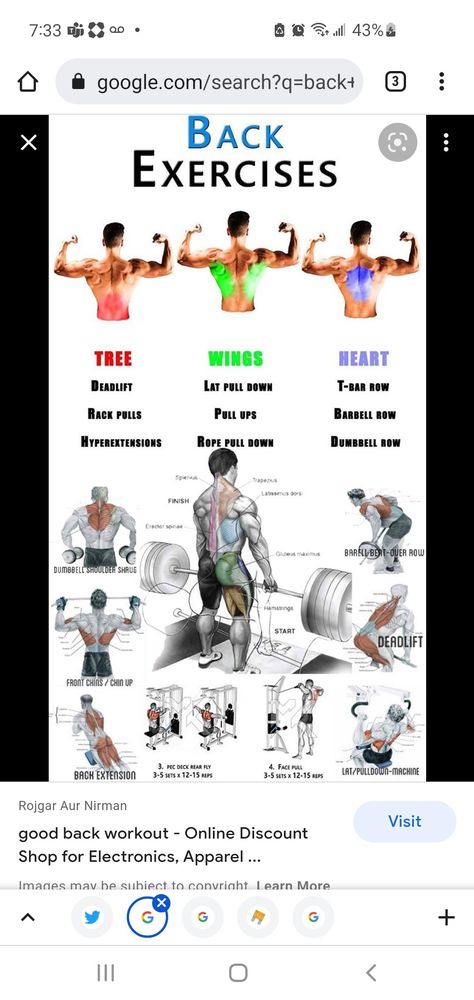 Lat Exercises With Dumbbells, Lat Exercises, Exercises With Dumbbells, Dumbbell Shoulder, Good Back Workouts, T Bar Row, Dumbbell Curls, Barbell Row, Rope Pulls