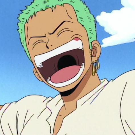 Memes One Piece, Zoro Icons, رورونوا زورو, Zoro Roronoa, Photo Polaroid, Zoro Nami, One Piece Crew, One Piece Funny, Zoro One Piece