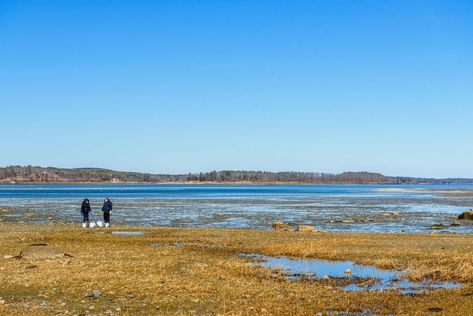 Freeport + Yarmouth in 48 Hours - The Maine Mag Yarmouth Maine, Bull Moose, Maine Travel, Beer Company, Main Street, Day Trips, Outdoor Gear, State Parks, Flight