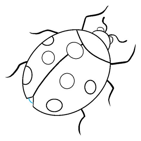 How to Draw Ladybug: Step 9 Ladybug Art Drawing, Simple Ladybug Drawing, Ladybug Outline Tattoo, How To Draw A Ladybug, Ladybug Tattoo Stencil, Ladybug Drawing Simple, Cute Ladybug Drawing, Ladybug Outline, Ladybug Sketch