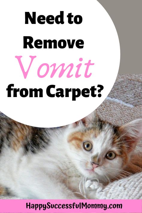 Do you have kids or pets? Need to get rid of that awful vomit smell in your carpet? Here's the way to do it naturally. #vomitsmell #cleaning #house Cat Vomit, Cat Throwing Up, Clean Hardwood Floors, Essential Oil Spray, Kitchen Paper Towel, Cleaning House, Essential Oil Mixes, Bad Smell, Kitchen Trash Cans