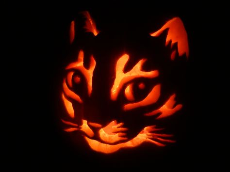 Pumpkin Carving Spider Web, Spiderweb Pumpkin Carving, Pumpkin Carving Ideas Bats, Pumpkin Carving Butterfly, Dragon Jack O Lantern, Kitty Cat Pumpkin Carving, Alice And Wonderland Cat, Cat In The Hat Pumpkin, Pumpkin Carving Ideas Cat