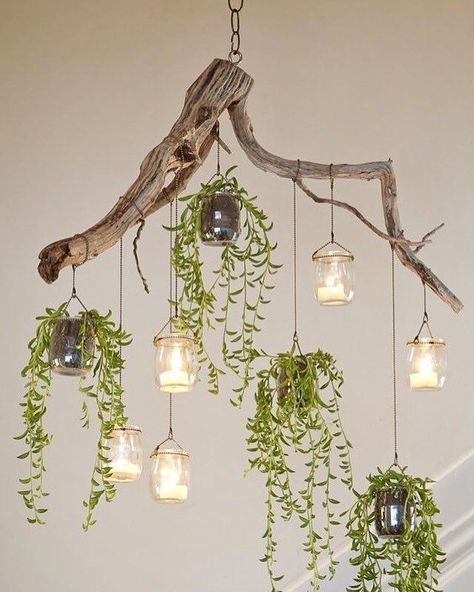 Driftwood Chandelier, Green Chandeliers, Deco Champetre, Apartment Studio, Creative Gardening, Studio Apartment Decorating, Driftwood Art, Rustic Gardens, Apartment Ideas