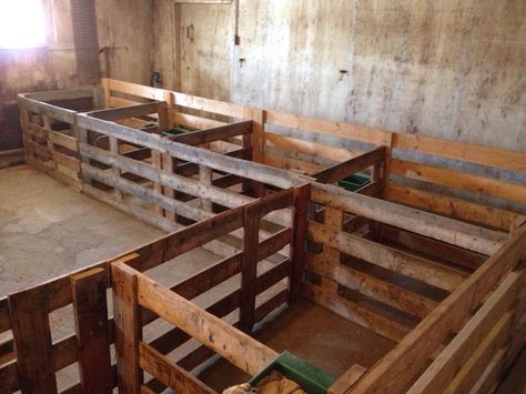 Just 2 stalls and double the length for each for babies Goat Stalls, Keeping Sheep, Stalls Ideas, Sheep Shelter, Sheep Barn, Goat Playground, Goat Shed, Livestock Barn, Livestock Shelter