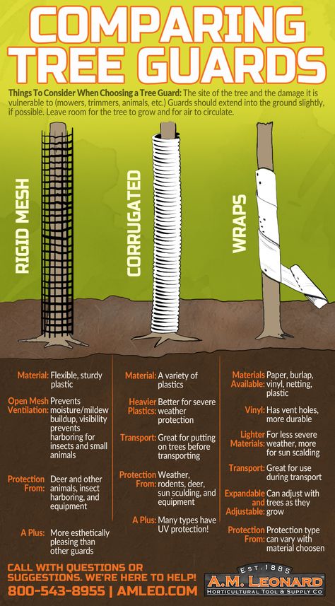 How To Propagate A Tree Branch, Tree Guard Ideas, Tree Guards, Tree Protection, Fruit Trees Backyard, Fruit Orchard, Tree Stakes, Pruning Fruit Trees, Growing Fruit Trees