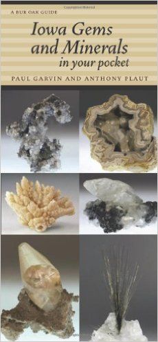 Iowa Gems and Minerals in Your Pocket (Bur Oak Guide) 1, Paul Garvin, Anthony Plaut - AmazonSmile University Of Iowa, Gems And Minerals, Minerals Crystals, Smoky Quartz, Iowa, University, Gems, Reading, Quick Saves