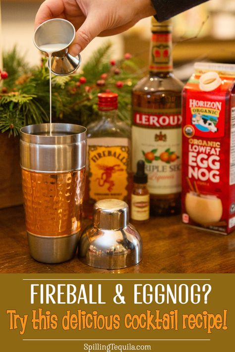 This Fireball Eggnog recipe will spice up your favorite Christmas drink! Creamy eggnog blends deliciously with the cinnamon heat of Fireball Whiskey. Fireball Eggnog Recipe, Fireball Eggnog, Whisky Recipes, Fireball Cocktails, Fireball Recipes, Fireball Drinks, Eggnog Drinks, Creamy Eggnog, Cinnamon Whiskey