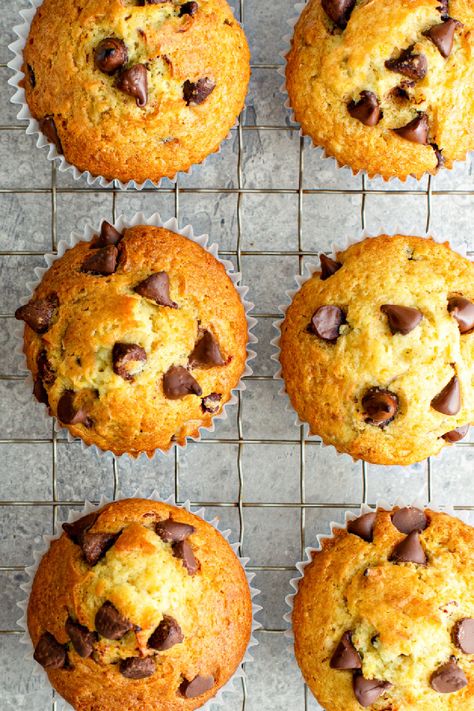 These keto chocolate chip muffins are the perfect solution for anyone looking for a treat that is easy to make and flat-out delicious. Enjoy a low-carb chocolate chip muffin that will make the keto diet a breeze! sugar-free chocolate chip muffins| gluten-free chocolate chip muffins Almond Flour Chocolate Chip Muffins, Keto Chocolate Chip Muffins, Bariatric Keto, Banana Chocolate Chip Muffins Healthy, Gluten Free Chocolate Chip Muffins, Healthy Chocolate Chip Muffins, Choc Chip Muffins, Keto Muffin Recipe, Chocolate Chip Muffin