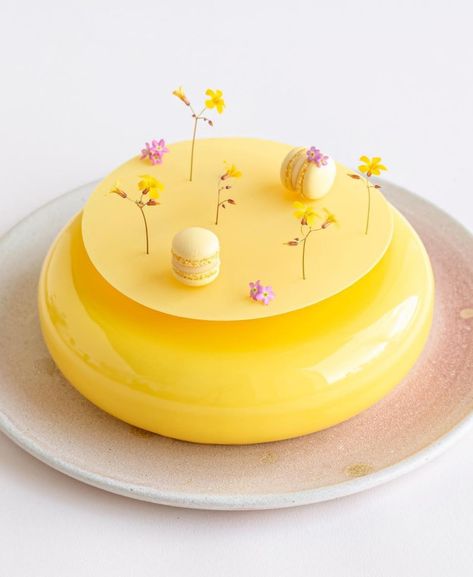 Entremet Design, Entremet Cake Recipe, Cake With Message, Entremet Cake Design, Entremet Cake, Mousse Cake Decoration, Bakery Business Plan, Lemon Meringue Tart, Patisserie Cake