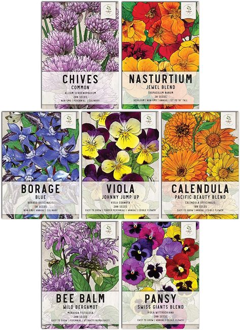 Amazon.com : Seed Needs, Edible Wildflower Seed Packet Collection ( 7 Varieties of Flower Seed for Planting) Non-GMO & Untreated - Includes Viola, Pansies, Chives, Borage, Calendula, Nasturtium and Bee Balm : Patio, Lawn & Garden Wild Bees, Flower Seeds Packets, Best Edibles, Seed Packaging, Butterfly Pea Flower, Bee Balm, Pea Flower, Growing Seeds, Herb Seeds