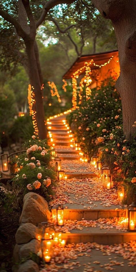 Creative Backyard, Ewolucje Eevee, Garden Escape, Backyard Wedding Lighting, Forest Theme Wedding, Dream Wedding Decorations, Wedding Lighting, Backyard Lighting, Focal Points