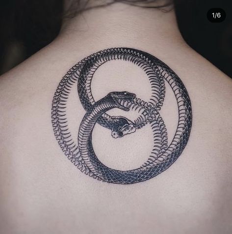 Philosophy Tattoos, 6 Tattoo, Gladiator Tattoo, Ouroboros Tattoo, Tattoo Concepts, Panther Tattoo, Blackwork Tattoos, Tattoo Photography, Snake Art