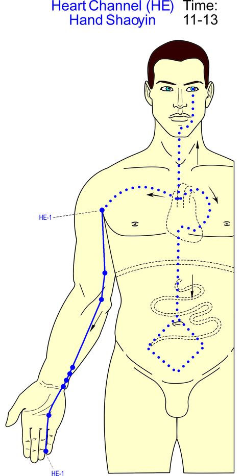 Heart Channel Heart Meridian, Tcm Traditional Chinese Medicine, Polarity Therapy, Eastern Medicine, Massage Therapy Techniques, Reflexology Massage, Health Heal, Acupuncture Points, Alternative Healing