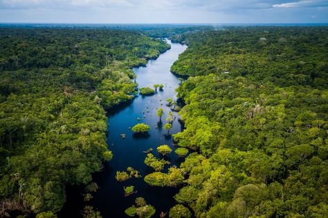 Indigenous Community, Amazon Rainforest, Brain Health, Nature Pictures, Ecology, Mother Nature, National Park, Brazil, National Parks