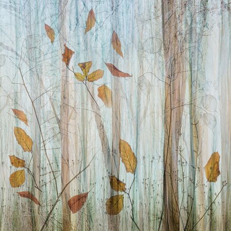 Double Exposure Photography Nature, Abstract Nature Photography, Multi Exposure Photography, Artistic Photography Nature, Photo Blur Effect, Creative Landscape Painting, Layers Photography, Abstract Photography Texture, Impressionist Photography