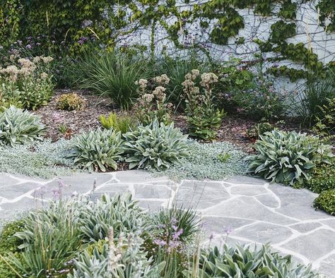 Garden Path Design, Crazy Pave, Meandering Path, Front Path, Crazy Paving, Landscaping Inspiration, Garden Paving, Path Design, Australian Garden