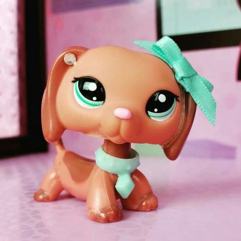 Lps Dachshund, Lps Popular, Custom Lps, Lps Toys, Lps Pets, Little Pet Shop Toys, Lps Littlest Pet Shop, Anime Pfp, Childhood Toys