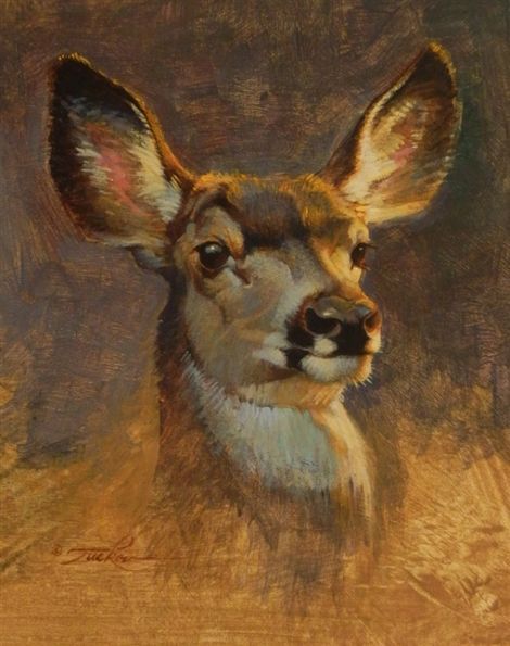 Animal Paintings Acrylic Wildlife Art, Ezra Tucker, Color And Emotion, Fantasy People, Deer Artwork, Deer Pictures, Deer Doe, Deer Painting, Animal Portraits Art