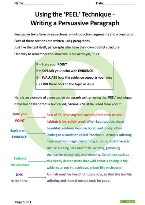 Teaching Resource PEEL Teaching Resource Peel Paragraph, Opinion Paragraph, Paragraph Structure, Persuasive Text, Writing Rubric, 4th Grade Writing, Focus Wall, Paragraph Writing, Student Goals