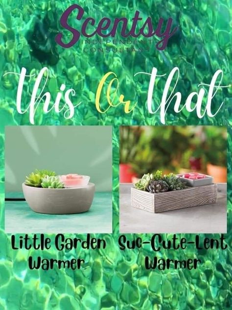 Which one would you choose, Little Garden, or Suc-Cute-Lent Warmer? This Or That Scentsy 2024, This Or That Scentsy, Scentsy Wednesday Posts 2023, This Or That Scentsy 2023, Scentsy This Or That 2023, Scentsy This Or That 2024, Scentsy This Or That, Scentsy Interaction Posts, Scentsy Posts