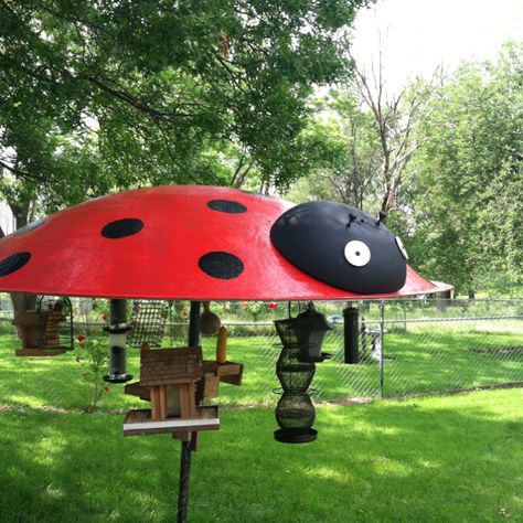 This is just way too cute!    Old TV dish repurposed into a bird feeding station. Uses For Old Satellite Dishes, Satelite Dish Repurpose, Old Satellite Dish Ideas, Satellite Dish Repurpose, Satellite Dish Ideas, Bird Feeder Station, Dish Art, Bird Feeding Station, Dish Ideas