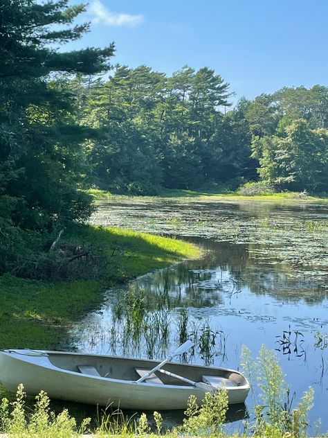 Boat Pond, Pond Boat, Kids Boat, Pedal Boat, Future Farms, Pond Landscaping, Makeover Bedroom, Row Boat, Room Makeover Bedroom