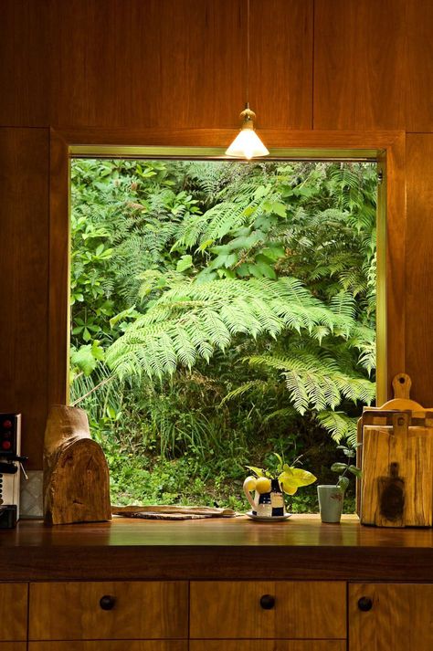 Marlborough Sounds, Bay House, Forest House, House Goals, House Inspo, Dream Home Design, 인테리어 디자인, House Inspiration, My Dream Home