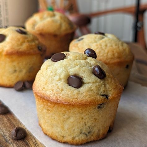 Replacing a portion of your flour in baked goods with protein powder can increase the protein content of your favorite recipes! I tried it with these protein chocolate chip muffins, and they turned out fantastic!rn Protein Chocolate Chip Muffins, Protein Powder Muffins, Protien Powders, Baking With Protein Powder, Choc Chip Muffins, Blender Muffins, Protein Chocolate, Chips Ahoy, Protein Powder Recipes