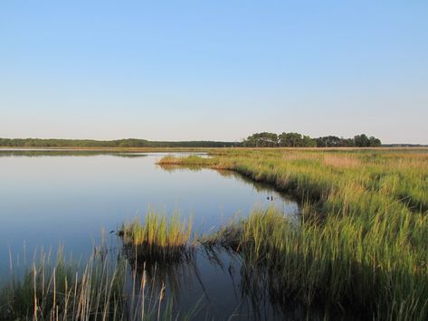 Kayak scenery on Marshy Creek Simple Landscape Reference Photo, Natural Resources Images, Tree Photoshop, Visitors Center, Salt Marsh, Urban Landscape Design, Coastal Artwork, Beach Landscape, Landscape Pictures