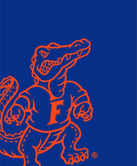 Uf Wallpapers, Florida Gators Aesthetic, Uf Aesthetic, Florida Gators Football Wallpaper, Uf Dorm, Florida Gators Wallpaper, Uf Gator, Senior 25, College Wallpaper