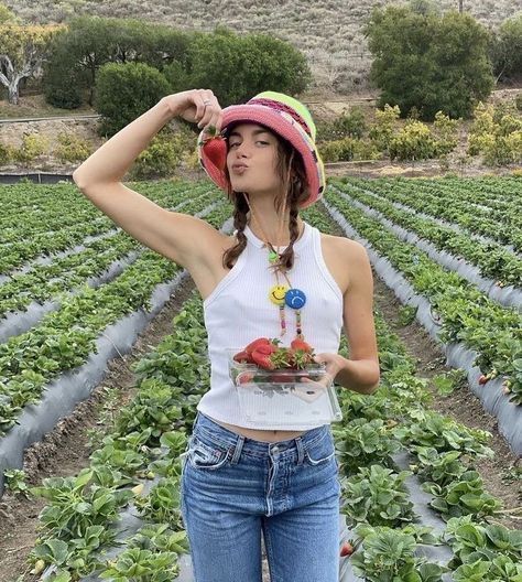 Strawberry Field, Strawberry Picking, Strawberries, Pink