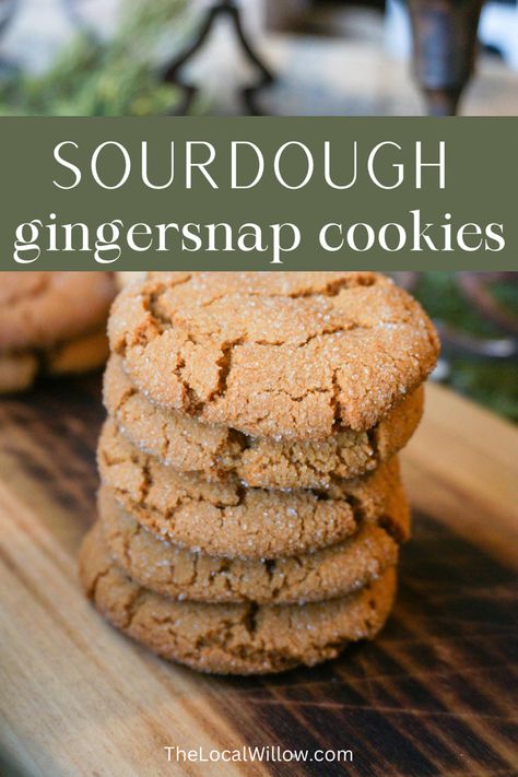 Sourdough Discard Ginger Snaps, Sourdough Ginger Molasses Cookies, Sourdough Ginger Snaps, Sourdough Cookies Recipe, Recipe With Molasses, Cookies With Molasses, Cookies Sourdough, Gingersnap Cookies Recipe, Sourdough Cookies