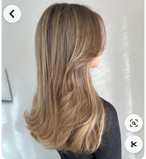 Blonde Balayage From Dark Hair, Dark Blonde Light Brown Hair Balayage, Hair Inspiration Light Brown, Soft Blowout Hair, Dark Blonde Hair Natural, Sand Hair Color, Balayage Dark Blonde, Dark Sandy Blonde Hair, Sandy Blonde Highlights