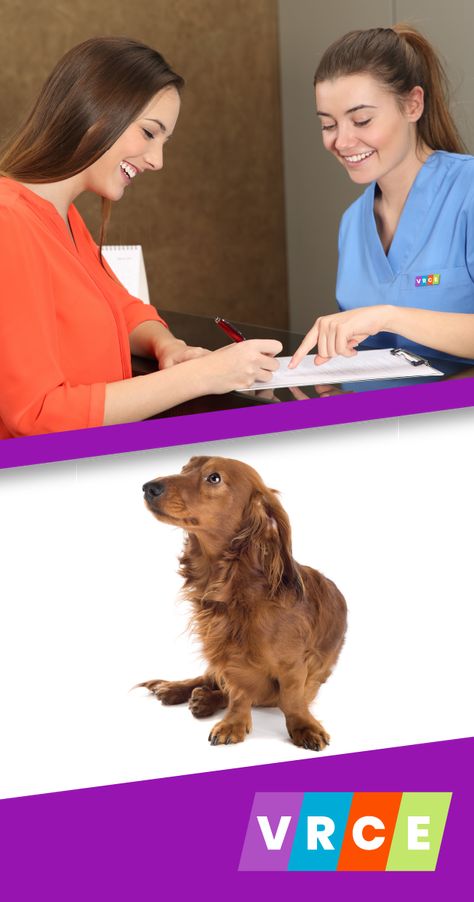 Why is training your veterinary CSR important? 1. They are the first and last line of defense in your practice. 2. They are responsible for booking appointments and capturing new clients. 3. Investing in training increases CSR retention. Learn more: https://vrce.vet #veterinarymedicine #veterinary #vetreceptionist #veterinarypractice #csr #veterinaryreceptionist #vetmed #veteranownedbusiness #veterinarian #practicemanagement #practicemanager #dvm #veterinaryscience #vetmedleaders #vetlife Veterinary Receptionist, Certificate Of Excellence, Learn Skills, Veterinary Science, Stressful Job, Vet Clinic, Vet Med, Good Communication Skills, Practice Management