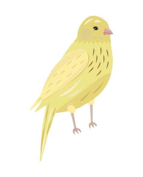 Cute canary bird, bright illustration Canary Illustration, Bright Illustration, Canary Birds, Vector Animation, Business Cards, Vector Free, Royalty Free, Clip Art, Quick Saves