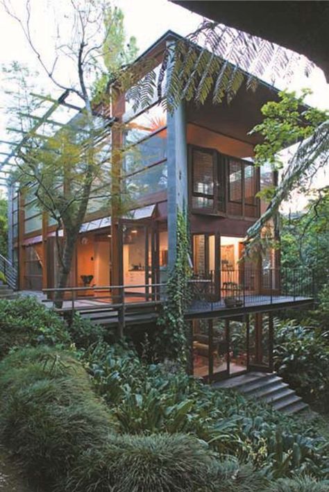 New Zealand Architecture, Jungle House, New Zealand Houses, Architecture Awards, Forest House, Kauai, Auckland, My Dream Home, Future House