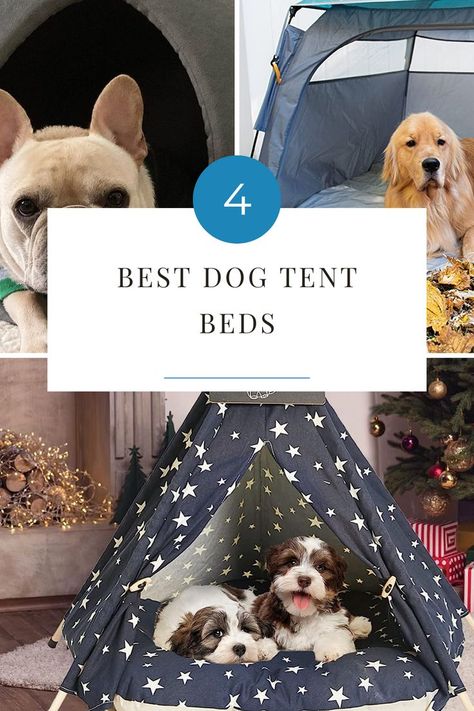 Are you a pet parent who wants to give their pup the best of both worlds? Look no further than a dog tent bed! This cozy bed is perfect for providing your pup with shelter, warmth, and relaxation. Here are our top five picks for the best dog tent beds that will have them snoozing in style. Tent Beds, Dog Tent Bed, Tent Bed, Dog Tent, Bed Tent, Top Five, Cozy Bed, Pet Parent, Large Dogs