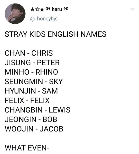 Peter Han, Skz Memes, Kids English, Funny Kpop Memes, Skz In Cute, Savage Kids, Losing A Child, Kid Memes, Kpop Entertainment