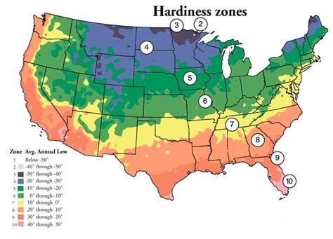 growing moringa Gardening Zone Map, Growing Moringa, Planting Zones Map, Planting Zones, Moringa Tree, Planting Calendar, Tree Growing, Gardening Zones, Plant Zones