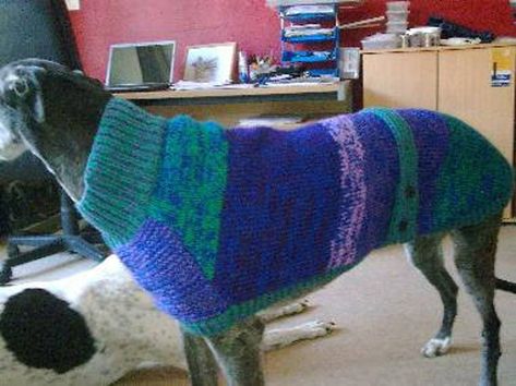 Greyhound Coat Knitting Pattern Download - Etsy Australia Greyhound Coat Pattern, Greyhound Dog Sweater, Greyhounds Clothes, Coat Knitting Pattern, Knitted Dog Sweater Pattern, Hoodie Sewing Pattern, Greyhound Rescue, Dog Sweater Pattern, Knit Dog Sweater